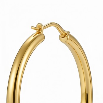 High Polish & PVD 14k Gold 316 Stainless Steel & Hoop Earrings