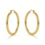 High Polish & PVD 14k Gold 316 Stainless Steel & Hoop Earrings