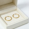 High Polish & PVD 14k Gold 316 Stainless Steel & Hoop Earrings