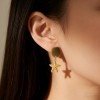 High Polish & PVD 18k Gold Luxurious 316 Stainless Steel Star Charm Dangle Earrings for Women Fashion